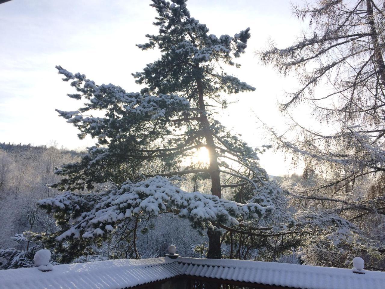 Hotel Eco Sadiba Kaskad Velyka Volosyanka Exterior foto
